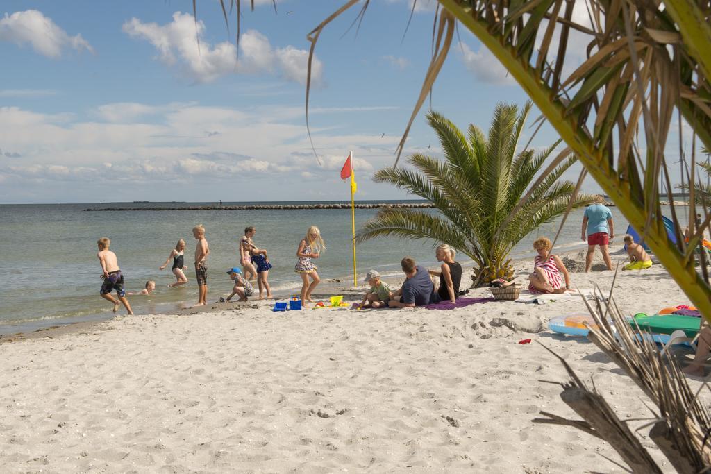 Frederikshavn Nordstrand Camping & Cottages المظهر الخارجي الصورة